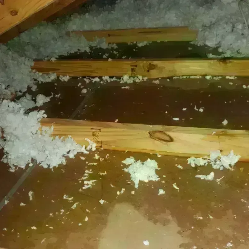 Attic Water Damage in Addison, WI