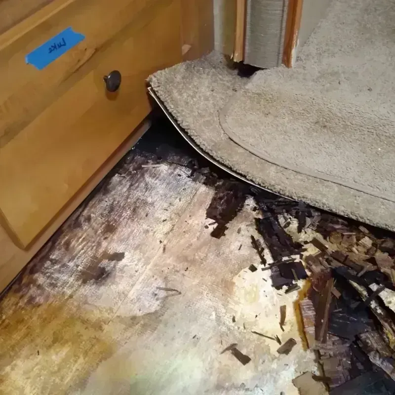 Wood Floor Water Damage in Addison, WI